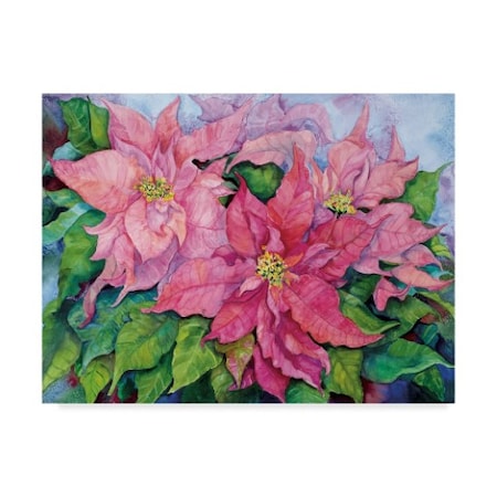 Joanne Porter 'Pink Poinsettia' Canvas Art,35x47